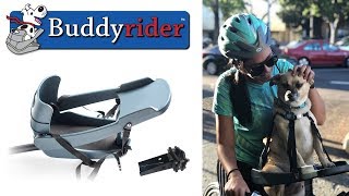 Never Leave Your Buddy Behind While Cycling Again Buddyrider Pet Carrier Front Bike Pet Seat with 4 Point Safety Harness Holds Pets 25lb for Safe Pet Bicycle Travel