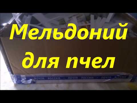 Взрывное размножение и