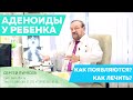 Доктор Пурясев: Как возникают аденоиды у детей? Симптомы и лечение аденоидов у ребенка.