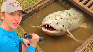 ผมไปสำรวจท่อระบายน้ำ 100 แห่ง เจออะไรบ้างมาดูกัน!