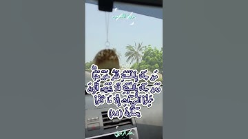 سورة القصص - رواية حفص عن عاصم - القاريء حمد الرديني