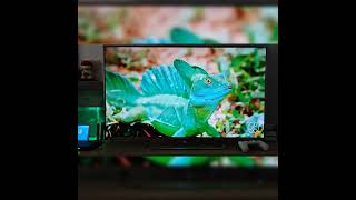 UGOOS AM9 Pro 4K YouTube Playback Review – Smooth, Sharp &amp; Lag-Free
