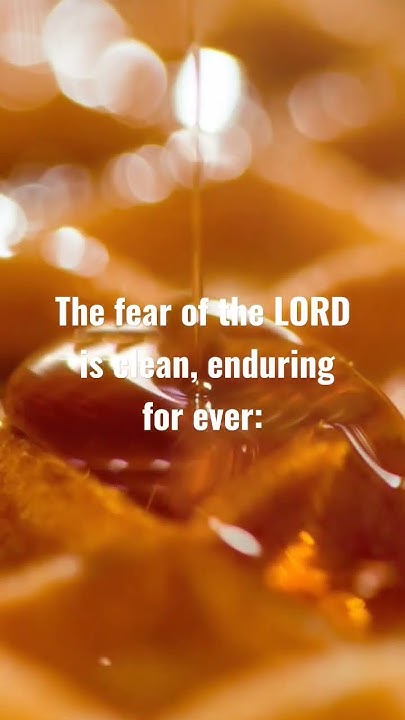 biblereflection-dailydevotion-psalm-19-7-10-youtube
