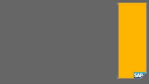 SAP Business Objects Edge Solutions