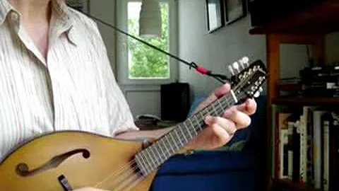 Don't Go Gregory - Variations for Mandolin