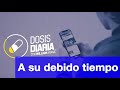 Dosis Diaria Roka - A su debido tiempo