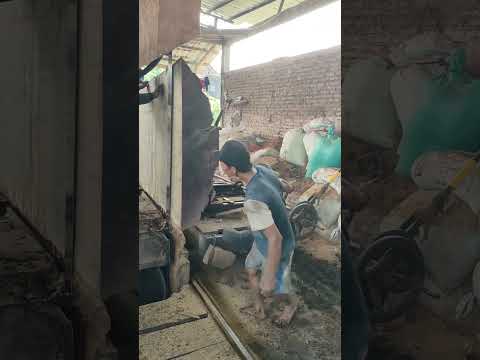 Teak Wood Hara Very Beauty India Brazil Korea Russia America