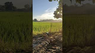 DJI AIR 2S Flying #drone #dji