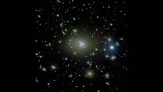 Famous Quantum-Geometry Dynamics vs Quantum Mechanics Wealth