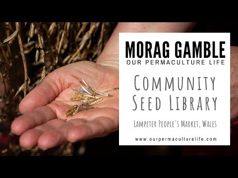 Video: Membuat Seed Library - Bagaimana Cara Kerja Seed Library