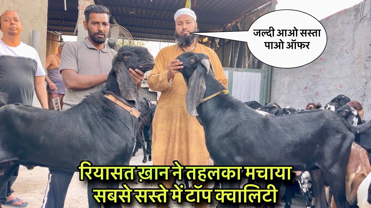 रियासत ख़ान ने तहलका मचाया सबसे सस्ते में टॉप क्वालिटी @farmingbaba top quality sabse saste jaldi