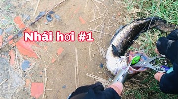 Câu Cá Lóc Lure Cá Lóc Ao Rau Muốn Bằng Nhái Hơi.Nhái Hơi Nhạy Nhất| Đại Ngáo Vlog 2 #6