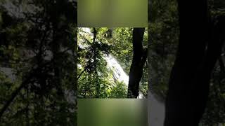 pachamahri MP nature beautyshort shortsvideo nature relaxingmusic naturelovers waterfall
