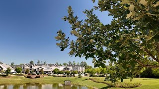 5401 North Walk | Raleigh, NC Neighborhood Tour & Killdeer Sighting | 4K