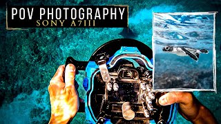 POV UNDERWATER PHOTOGRAPHY with the SONY A7III and AQUATECH HOUSING by Ryuta Ogawa 4,217 views 3 years ago 11 minutes, 1 second