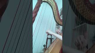 Limbus Company——Compass（harp version）