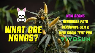 WHAT are NANAS? New Beans, New Tent, AeroBase Pots, AeroWave Gen 2 - Vivosun