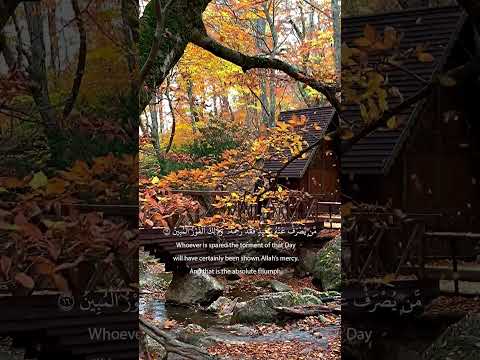 القرآن الكريم تلاوة خاشعة اكتب شي تؤجر عليه 