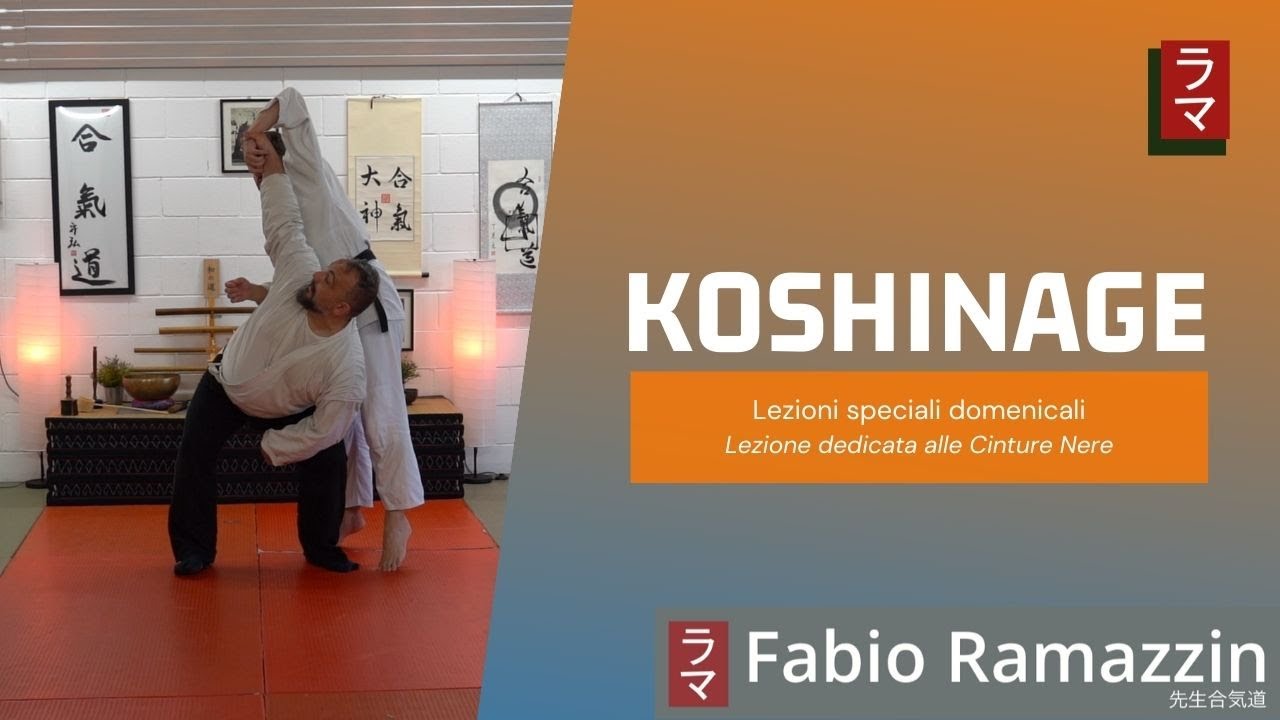 Koshinage Aikido lezione per cinture nere YouTube