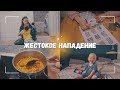 ВЛОГ: Жестокое нападение! | Рецепт супа | Не хочу это смотреть 16.01.24