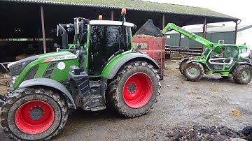 Loading & Carting Muck with two Fendts & Merlos