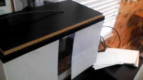 New Ball Python Setup/Imports - Benjamin