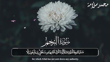 محمد سلامة | ما تيسر من سورة النجم