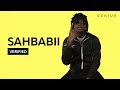 SahBabii "Purple Ape" Official Lyrics & Meaning | Verified
