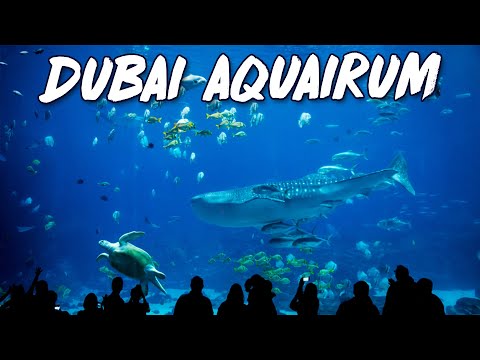 DUBAI AQUARIUM & UNDERWATER ZOO 2021 | Explore Dubai Aquarium in Hindi and Urdu