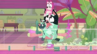 Bluey - Im Soooooo Effects By Klasky Csupo 2001