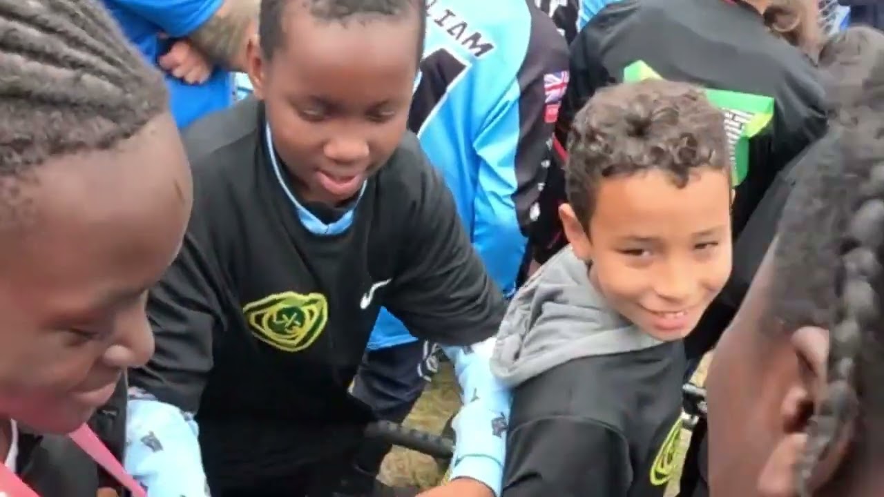 Queen Elizabeth Olympic Park.