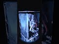 『トリスティア とりとりバンドルパック 3Dクリスタルセット Nintendo Switch版』3Dクリスタル&ldquo;ナノカ・フランカ&rdquo;