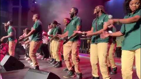 Delphin 6 fil solo and zamar