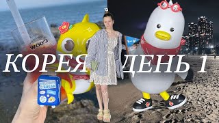 видео: ВЛОГ КОРЕЯ | ДЕНЬ 1: традиционный корейский ресторанчик и ночь на пляже Haeundae картинка: ВЛОГ КОРЕЯ | ДЕНЬ 1: традиционный корейский ресторанчик и ночь на пляже Haeundae