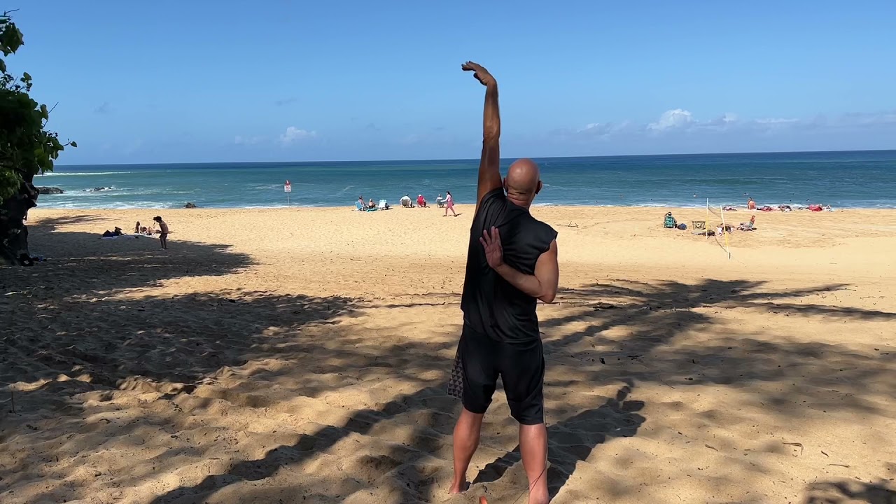 Download Chi-Kung (Qigong) Hawai’i Meditation - Exercise series #2