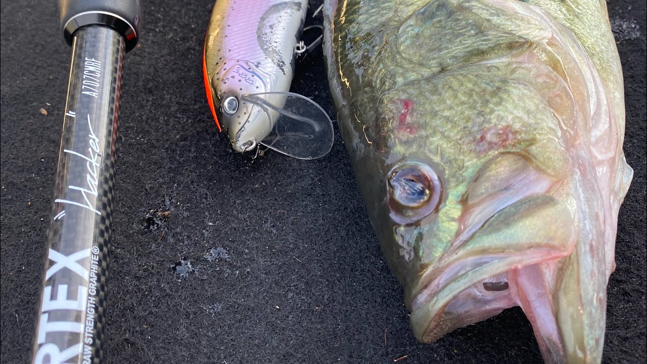 2023 K.S.B fishing life