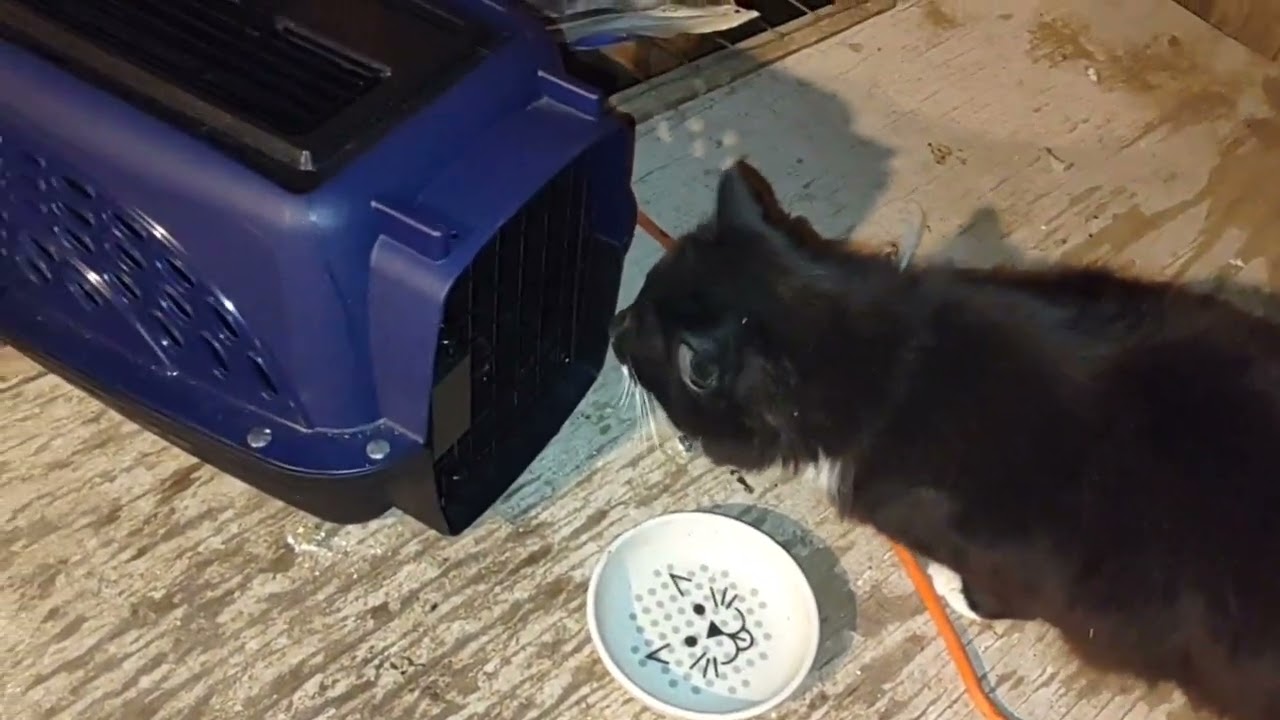 City CAT moves to FARM