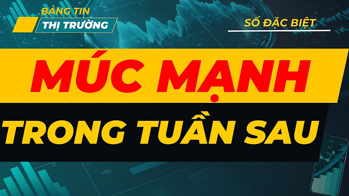 Đánh giá trang tài chính chứng khoán năm 2024