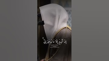 ﴿ قُل لَّا أَقُولُ لَكُمْ عِندِي خَزَائِنُ اللَّهِ.. ماتيسر من سورة الأنعام ، ناصر القطامي
