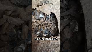 Unearthing Herkimer Diamonds Hidden For Years