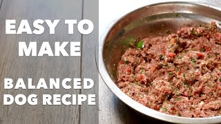 Homemade Dog Food Recipe