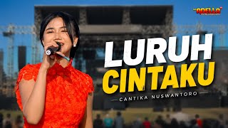 Download lagu Cantika Nuswantoro - My Love Falls | Uncle Adella Live in Bungko Lor, CIREBON