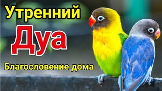 Утренний Дуа. Дуа Каждое Утро