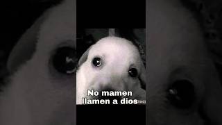 MI PRIMER ENCUENTRO CON EL DIABLO 👹💀  #fyp #shorts #loquendo #humor #diablo #epic  #latam