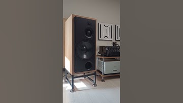 ATC SCM100Psl (깊어가는 가을  ATC 스피커의 진한 감동)