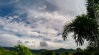 TimeLapse of a cloudy day, with a palm tree