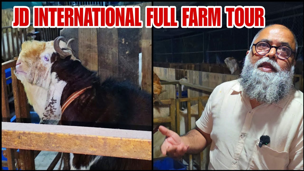 JD International Ka Full Farm Tour Or Jabardast Kota Or Malwa ka Collection Bhiwandi padgha 