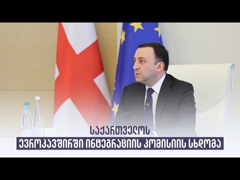 საქართველოს ევროკავშირში ინტეგრაციის კომისიის სხდომა