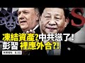 💥中共高官害怕了😱，瑞士不排除凍結資產❗️習操控港首選舉再出招；總加速師激怒世界，彭佩奧穿針引線；默克爾將卸任，德國對華綏靖政策將消失？美國衛生部長將訪台，美台斷交後最高層級 【新聞看點08.05】