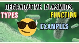 Degradative Plasmids Types, Examples